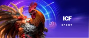 BAOSTING66 bj888