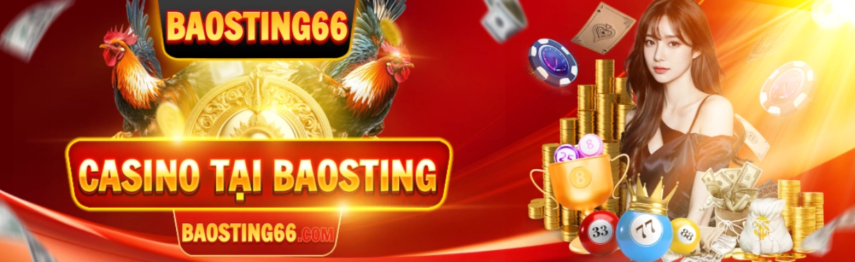 BAOSTING66