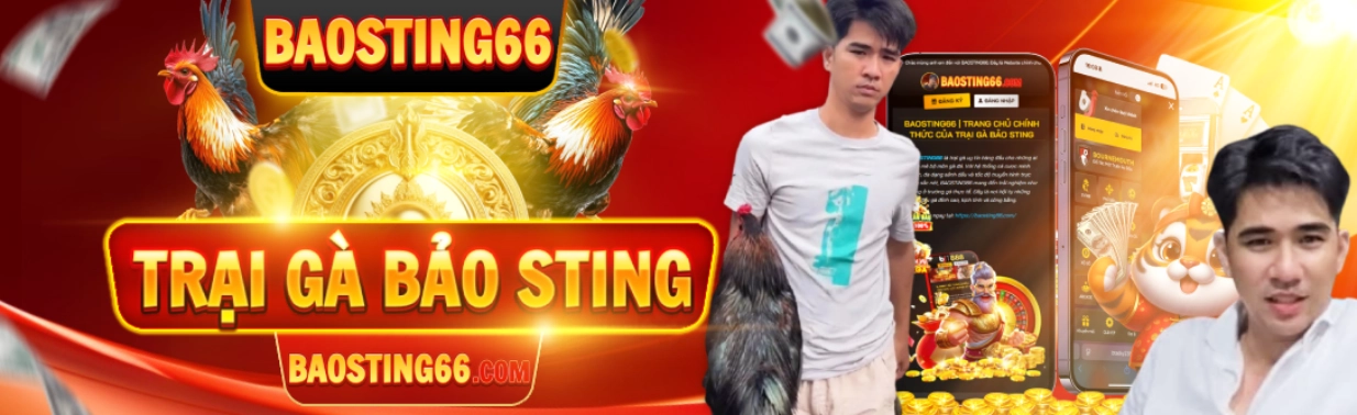 BAOSTING66