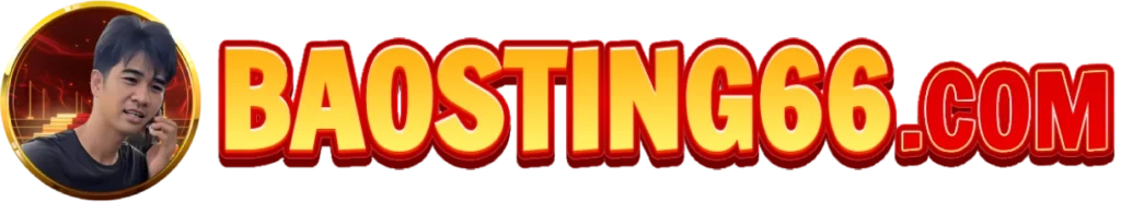 BAOSTING66