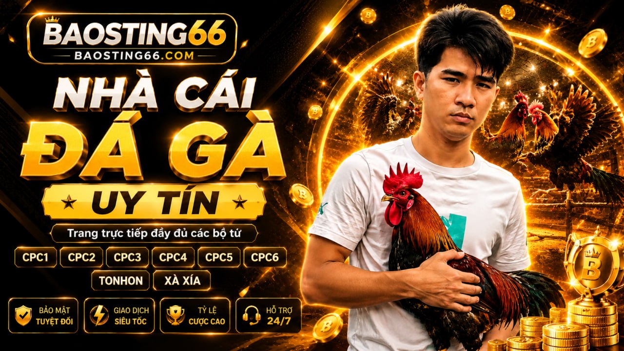 baosting66